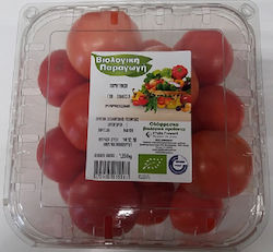 Tomatakia Für Sauce Bio Griechisch Inländisches Gewicht