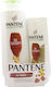 Pantene Gift Σετ Θεραπείας Μαλλιών για Ταλαιπωρημένα Μαλλιά με Σαμπουάν, Conditioner και Λάδι