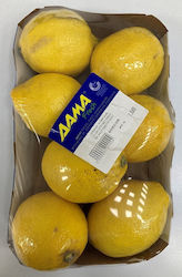 Dama Zitronen Importiert aus (Minimalgewicht 1.15kg)