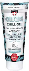 Palacio Cébédé Chill Γέλη Κρυοθεραπείας 200ml Palacio Cébédé Chill Γέλη Κρυοθεραπείας 200ml