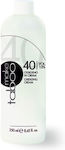 Palco Professional Colour Activator 40Vol 250ml