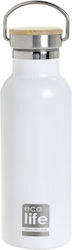 Ecolife Recyclable Thermos Bottle Stainless Ste...