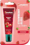 Himalaya Wellness Lip Gloss Red 10gr