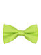 JFashion Papion din material textil Verde
