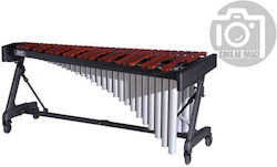Adams Music MSPA30