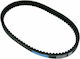 Athena Motorcycle Transmission Belt S410000350024