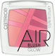 Catrice Cosmetics Airblush Glow 5.5gr