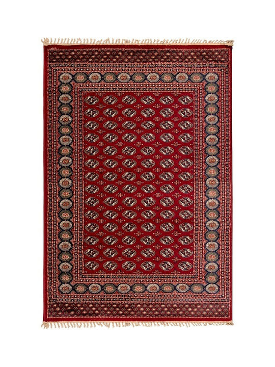 Biokarpet Jasmine New 1802-1018 Red-80x220