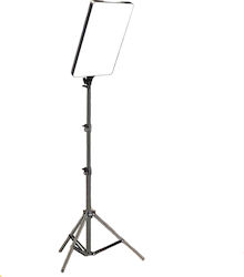 Light 4477507078_EN-18088453942 Photography Prop