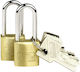 Burg Wachter Bronze Padlock Lengthened with Key 20mm 2pcs