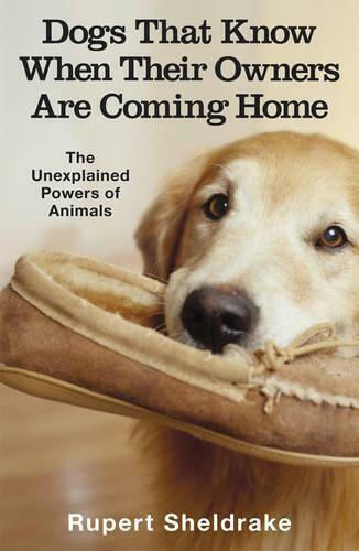 Dogs That Know When Their Owners Are Coming Home: And Other Unexplained Powers Of Animals Rupert Sheldrake Ltd