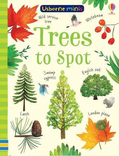 Trees To Spot Kirsteen Robson Publishing Ltd Trees To Spot Kirsteen Robson Publishing Ltd