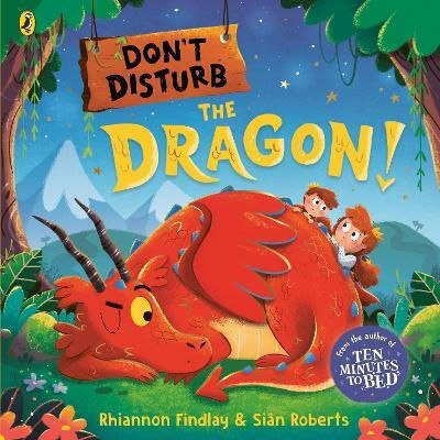 Don't Disturb The Dragon Rhiannon Findlay