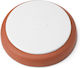 OXO Brown Sugar Preservation Accessory Cooking Accessories made of Plastic