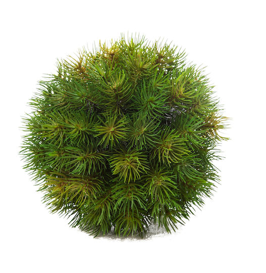 Arpimex Srl Weihnachtsdekoration Zweigstelle Länge 20cm.