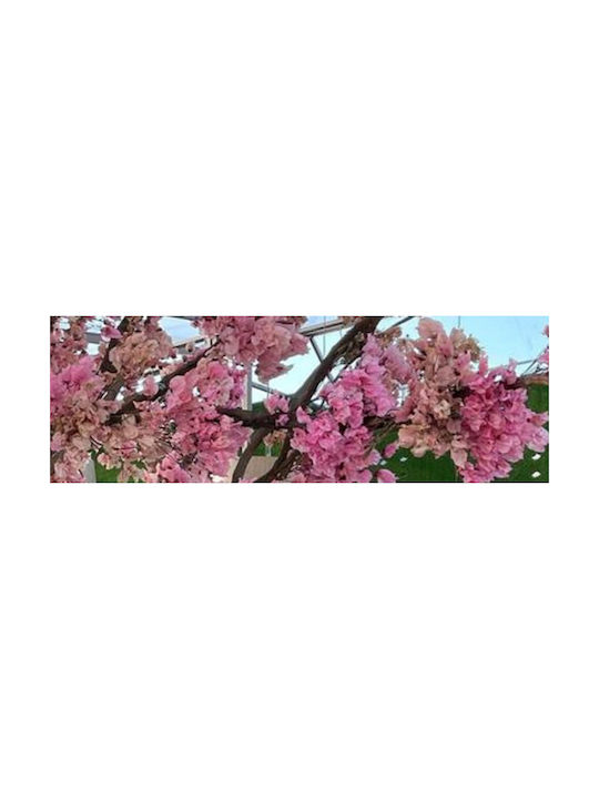 Plantă Artificială Agățătoare Pink 200cm 1buc