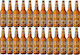 Cisk Lager Φιάλη 12x500ml