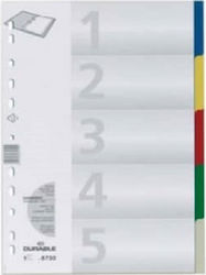Salko Paper Abscheider