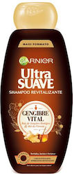 Garnier Vital Ginger Shampoos 400ml