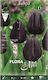 Gemma Bulbs Tulipς 10pcs