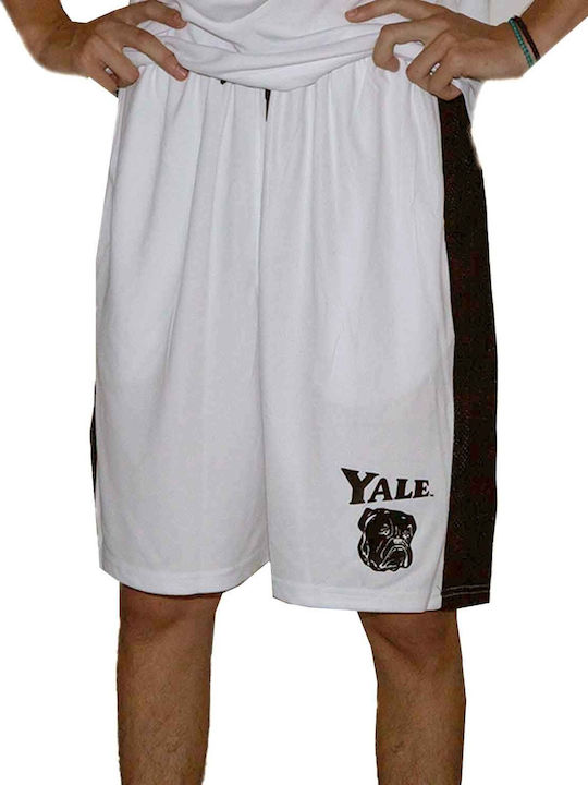 Park Fields Sportliche Herrenshorts Weiß