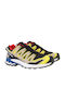 Salomon Xa Pro 3d V9 Ανδρικά Αθλητικά Παπούτσια Trail Running Πολύχρωμα Αδιάβροχα με Μεμβράνη Gore-Tex