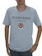 T-shirt Γκρι