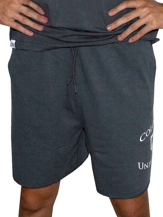 Park Fields Men's Shorts Gray