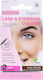 Depend Cosmetics in Schwarz Farbe Wimpern-Zubehör