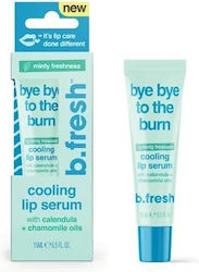 B.Fresh Lip Serum 15ml B.Fresh Lip Serum 15ml