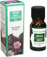 Αρωματικο Ελαιο Fresh Mint 10ml