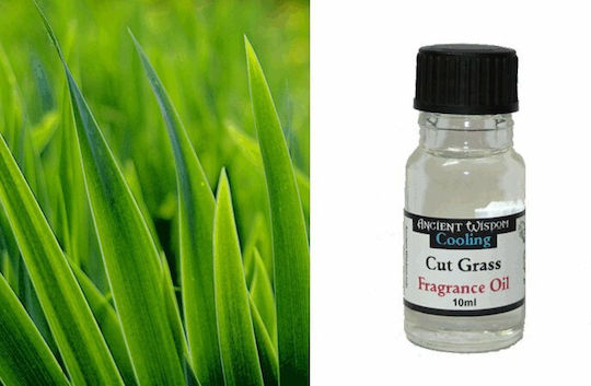 Ancient Wisdom Aromatic Oil Κομμένο Γρασίδι 10ml