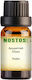 Nostos Pure Αρωματικό Έλαιο Βιολέτας 10ml