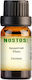 Nostos Pure Αρωματικό Έλαιο Καρύδας 50ml