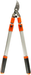 31305009 Bypass Loppers