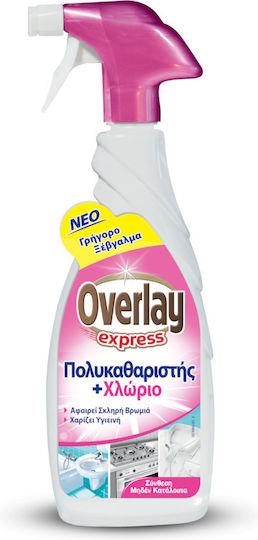 Overlay Allzweckreiniger Spray Allgemeine Verwendung 650ml