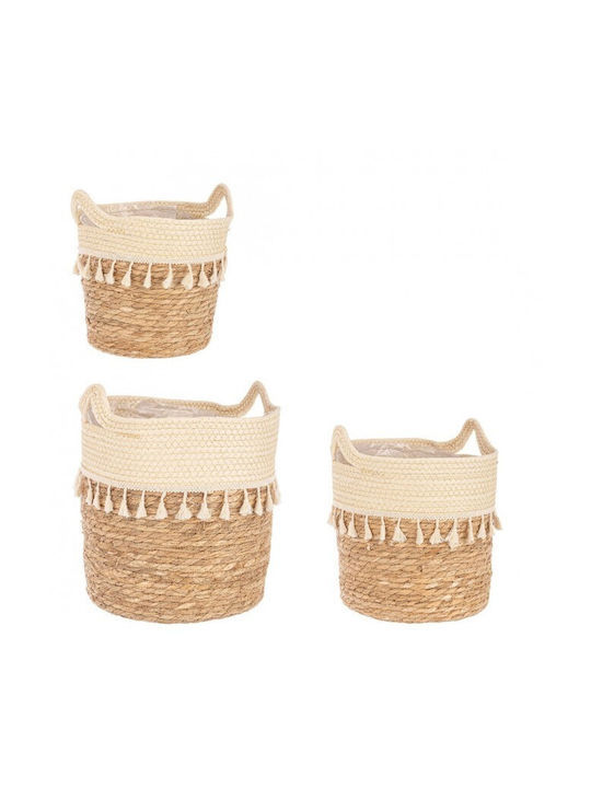 Wicker Decorative Basket Bizzotto