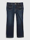 GAP Denim Trouser Blue