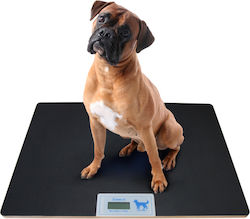 Momert Ζυγαριά Ακριβείας 100kg / 100gr