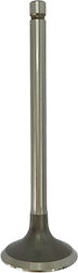 TKRJ Motorcycle Exhaust Valve Yamaha XT 250