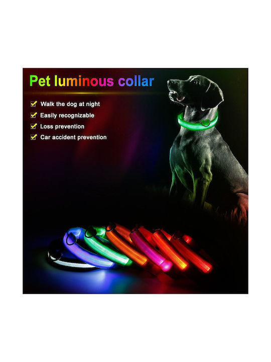 Dog Collar Illuminated 45cm Large Blue