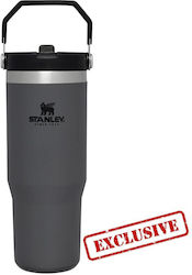 Stanley Bottle Thermos Stainless Steel BPA Free Gray 890ml with Straw
