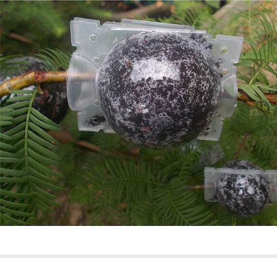 Elburg Smit Plant Rooting Ball