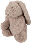 Plush Bunny