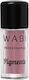 Wabi Beauty Pigments Σκιά Ματιών σε Κρεμώδη Μορφή με Ροζ Χρώμα 1.8gr