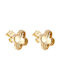 Earrings made of Gold 14K