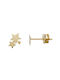 Earrings made of Gold 14K