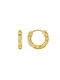 Earrings Hoops Gold Plated