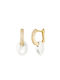 Earrings Pendants Gold Plated