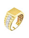 Damen Ring aus Gold 14K